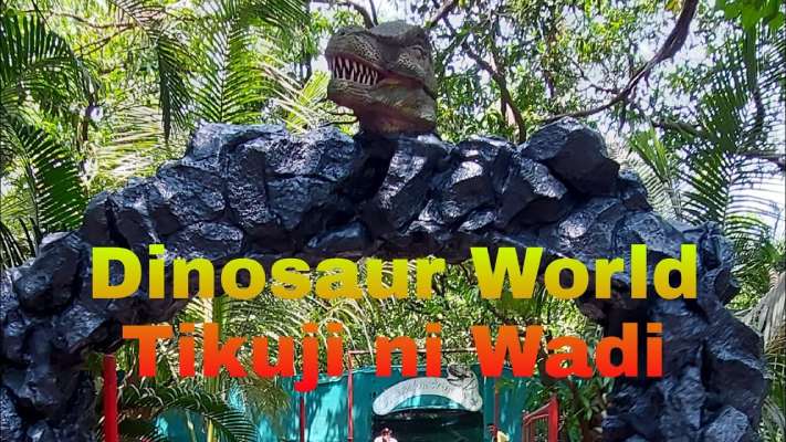 Dinosaur Park